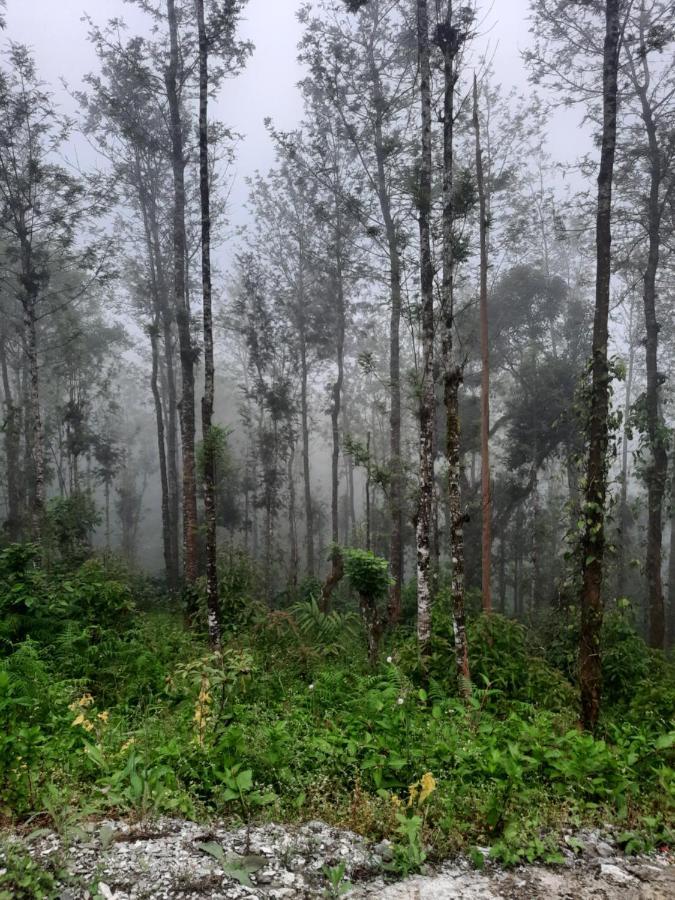 Coorg Happy Estate Stay Madikeri Exterior photo